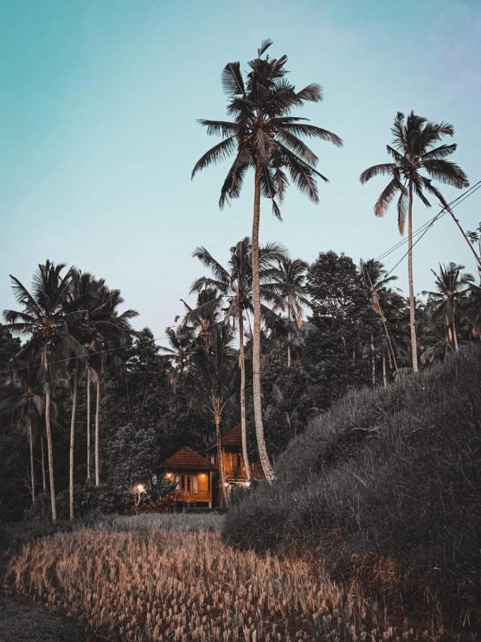 Uma D'Nyuh Homestay Singaraja  Exterior photo