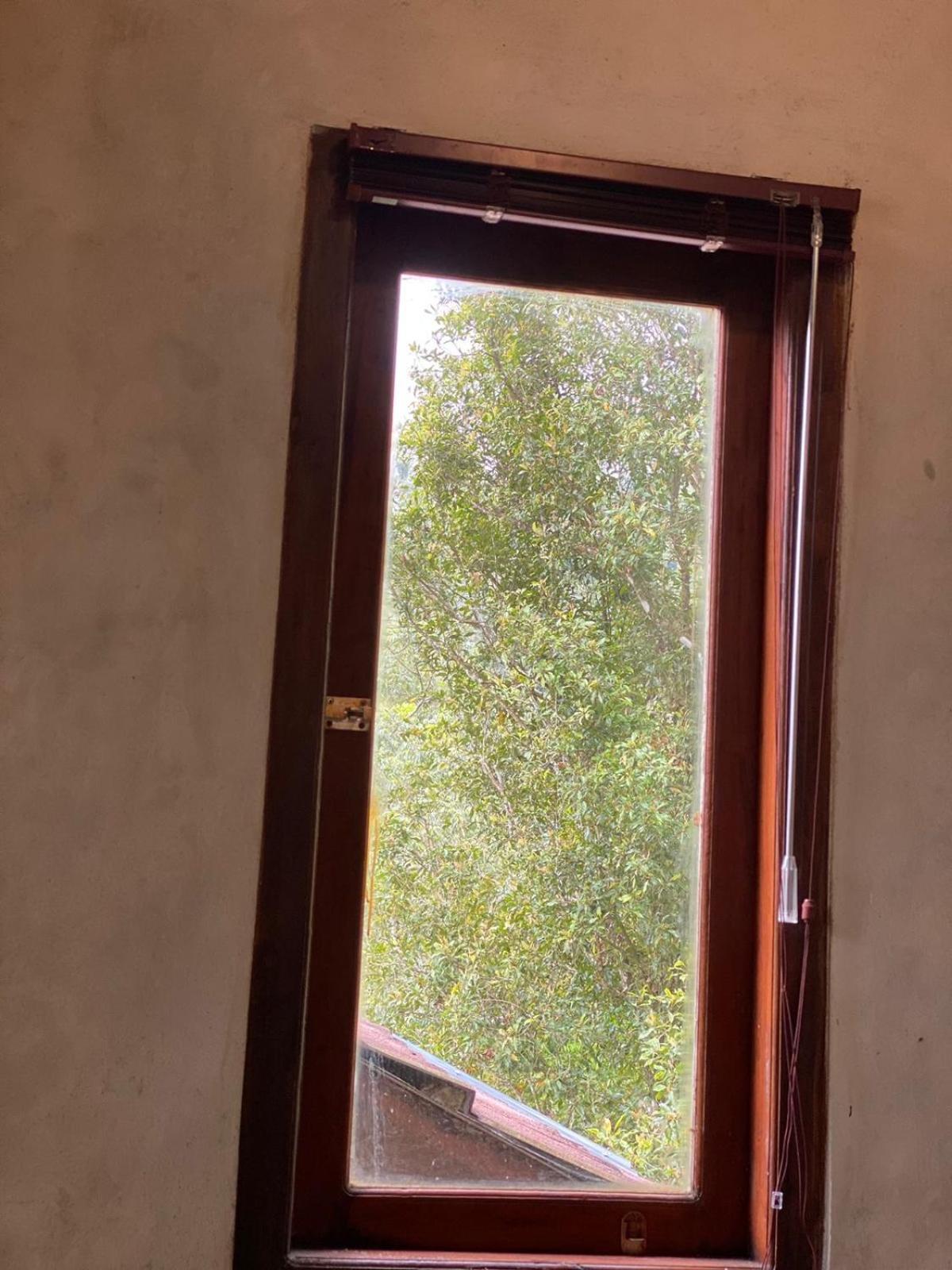 Uma D'Nyuh Homestay Singaraja  Exterior photo